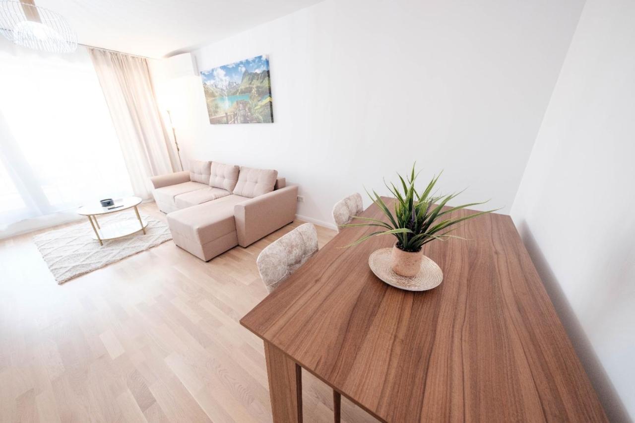 Brand New Luxury Apartment In The Heart Of 布拉索夫 外观 照片